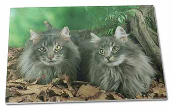 Large Glass Cutting Chopping Board Blue Norwegian Forest Cats