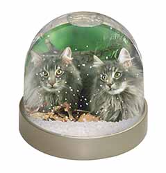 Blue Norwegian Forest Cats Snow Globe Photo Waterball