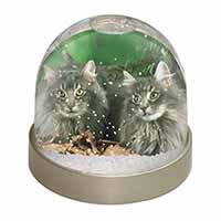 Blue Norwegian Forest Cats Snow Globe Photo Waterball