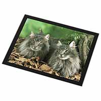 Blue Norwegian Forest Cats Black Rim High Quality Glass Placemat