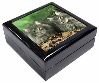 Blue Norwegian Forest Cats Keepsake/Jewellery Box