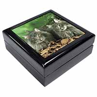 Blue Norwegian Forest Cats Keepsake/Jewellery Box