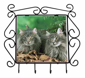 Blue Norwegian Forest Cats Wrought Iron Key Holder Hooks