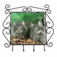 Blue Norwegian Forest Cats Wrought Iron Key Holder Hooks