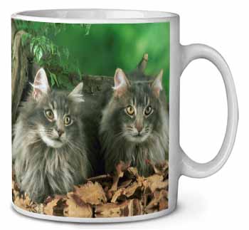 Blue Norwegian Forest Cats Ceramic 10oz Coffee Mug/Tea Cup