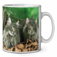 Blue Norwegian Forest Cats Ceramic 10oz Coffee Mug/Tea Cup