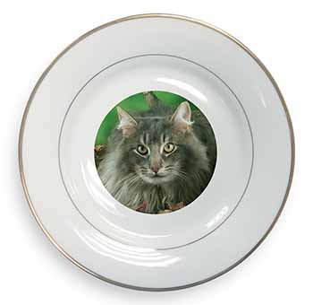 Blue Norwegian Forest Cats Gold Rim Plate Printed Full Colour in Gift Box