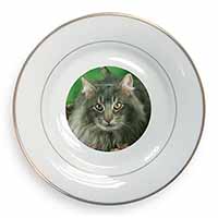 Blue Norwegian Forest Cats Gold Rim Plate Printed Full Colour in Gift Box