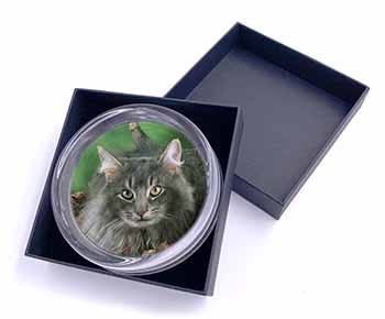 Blue Norwegian Forest Cats Glass Paperweight in Gift Box