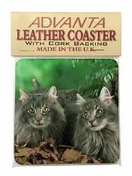 Blue Norwegian Forest Cats Single Leather Photo Coaster