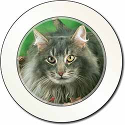 Blue Norwegian Forest Cats Car or Van Permit Holder/Tax Disc Holder