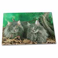 Large Glass Cutting Chopping Board Blue Fluffy Cats 