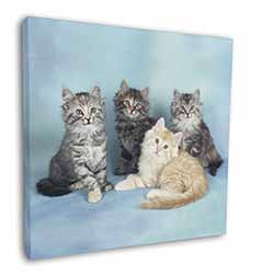 Cute Fluffy Kittens Square Canvas 12"x12" Wall Art Picture Print