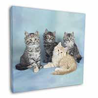 Cute Fluffy Kittens Square Canvas 12"x12" Wall Art Picture Print