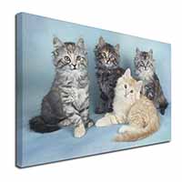 Cute Fluffy Kittens Canvas X-Large 30"x20" Wall Art Print