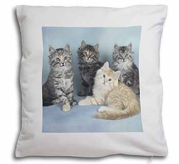Cute Fluffy Kittens Soft White Velvet Feel Scatter Cushion
