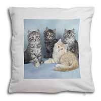 Cute Fluffy Kittens Soft White Velvet Feel Scatter Cushion