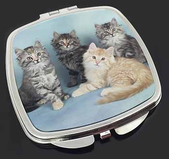 Cute Fluffy Kittens Make-Up Compact Mirror