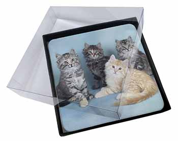 4x Cute Fluffy Kittens Picture Table Coasters Set in Gift Box