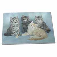 Large Glass Cutting Chopping Board Cute Fluffy Kittens