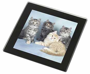 Cute Fluffy Kittens Black Rim High Quality Glass Coaster