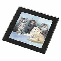 Cute Fluffy Kittens Black Rim High Quality Glass Coaster