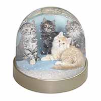 Cute Fluffy Kittens Snow Globe Photo Waterball
