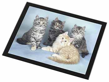 Cute Fluffy Kittens Black Rim High Quality Glass Placemat