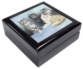 Cute Fluffy Kittens Keepsake/Jewellery Box