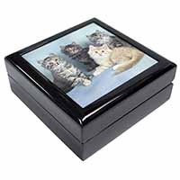 Cute Fluffy Kittens Keepsake/Jewellery Box