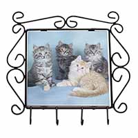 Cute Fluffy Kittens Wrought Iron Key Holder Hooks