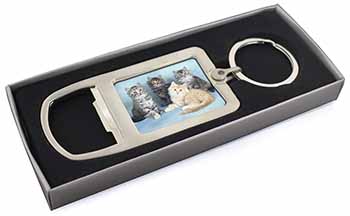 Cute Fluffy Kittens Chrome Metal Bottle Opener Keyring in Box