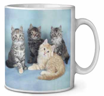Cute Fluffy Kittens Ceramic 10oz Coffee Mug/Tea Cup