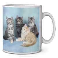 Cute Fluffy Kittens Ceramic 10oz Coffee Mug/Tea Cup