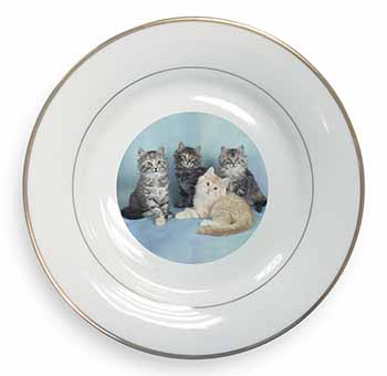 Cute Fluffy Kittens Gold Rim Plate Printed Full Colour in Gift Box