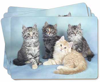 Cute Fluffy Kittens Picture Placemats in Gift Box