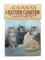Cute Fluffy Kittens Single Leather Photo Coaster