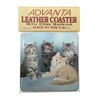 Cute Fluffy Kittens Single Leather Photo Coaster