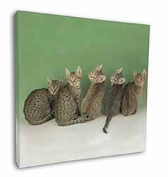 Cute Ocicat Kittens Square Canvas 12"x12" Wall Art Picture Print