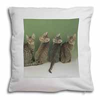 Cute Ocicat Kittens Soft White Velvet Feel Scatter Cushion