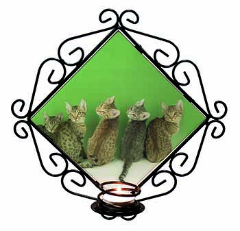 Cute Ocicat Kittens Wrought Iron Wall Art Candle Holder