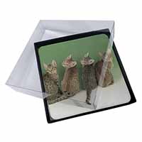 4x Cute Ocicat Kittens Picture Table Coasters Set in Gift Box