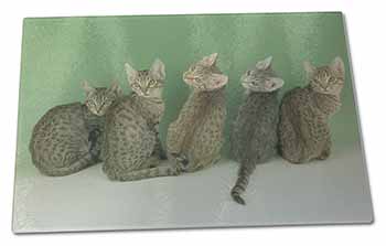 Large Glass Cutting Chopping Board Cute Ocicat Kittens