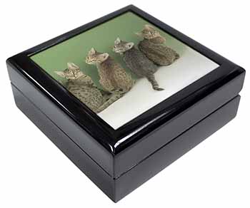 Cute Ocicat Kittens Keepsake/Jewellery Box