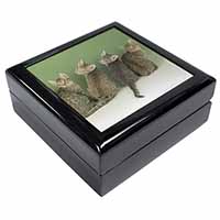 Cute Ocicat Kittens Keepsake/Jewellery Box