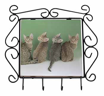 Cute Ocicat Kittens Wrought Iron Key Holder Hooks