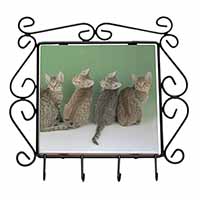Cute Ocicat Kittens Wrought Iron Key Holder Hooks