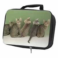 Cute Ocicat Kittens Black Insulated School Lunch Box/Picnic Bag