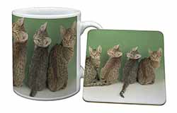 Cute Ocicat Kittens Mug and Coaster Set