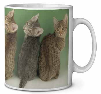 Cute Ocicat Kittens Ceramic 10oz Coffee Mug/Tea Cup